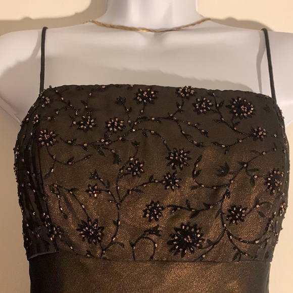 Cache Prom/Evening Gown, Size 4 - Picture 7 of 11